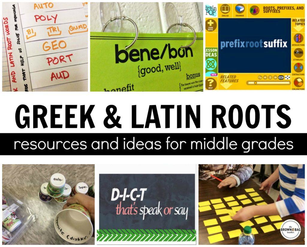 Grek and Latin Root