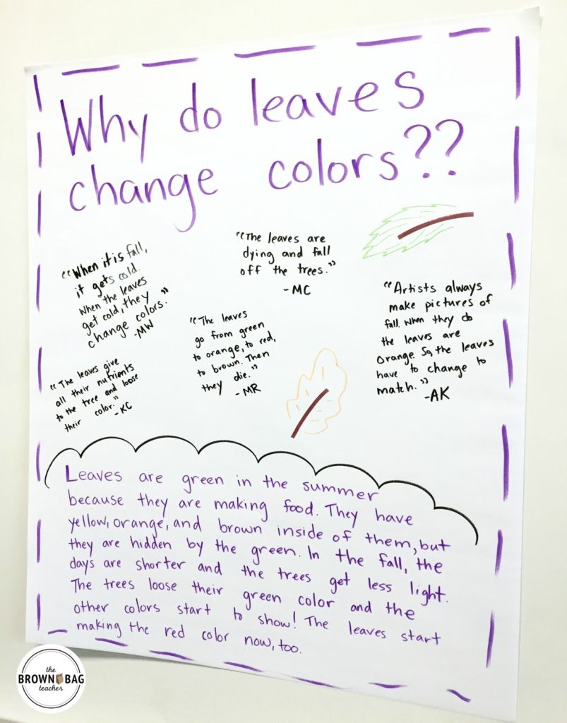 Leaf Color Change Chart