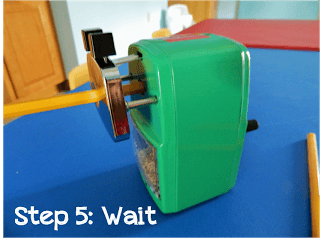 Step 5 Wait