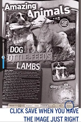 photo 1 28229