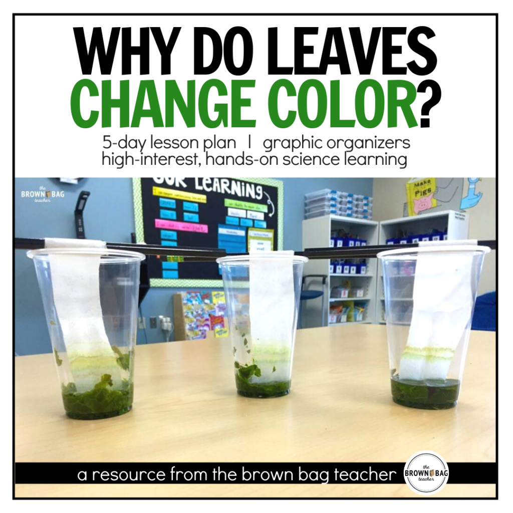 Leaf Chromatography: Why do leaves change color? - The Brown Bag Teacher