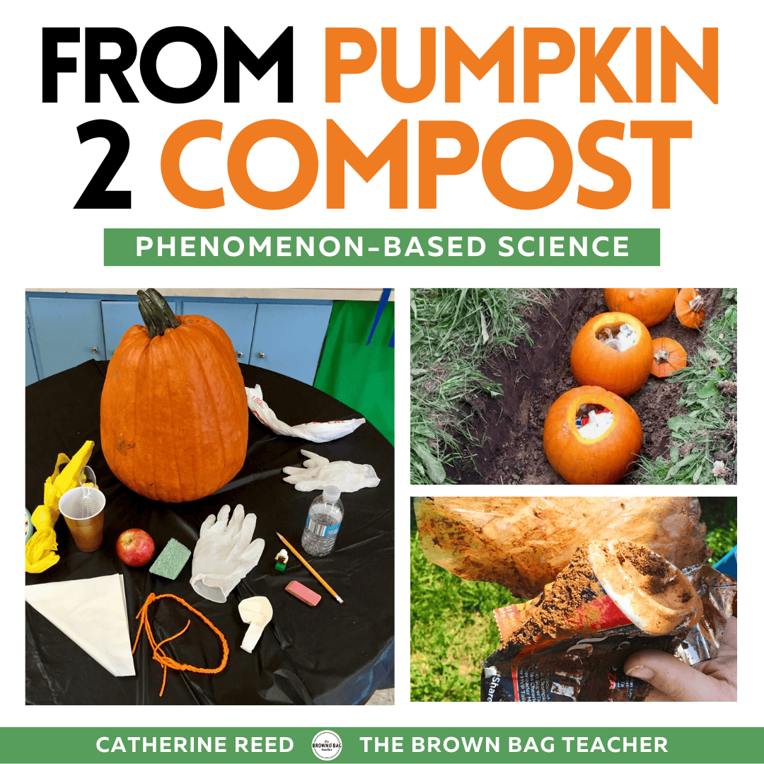 FromPumpkintoCompostCover