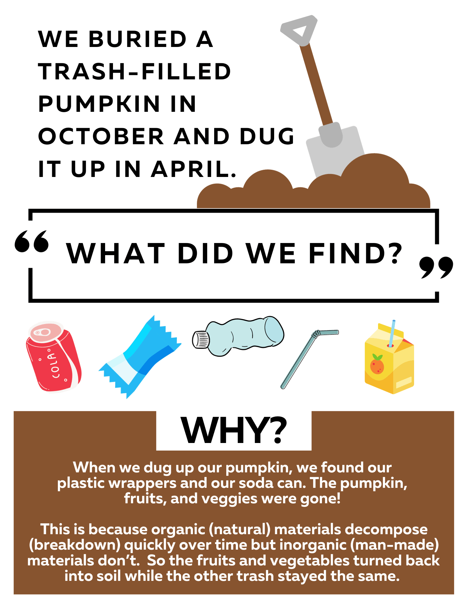 Pumpkin Science Preview 5