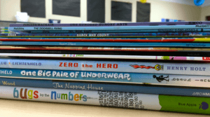 Math mentor texts are the perfect 'hook' for math mini-lessons. These 5 read alouds are just-right for fostering strong number sense in primary learners.