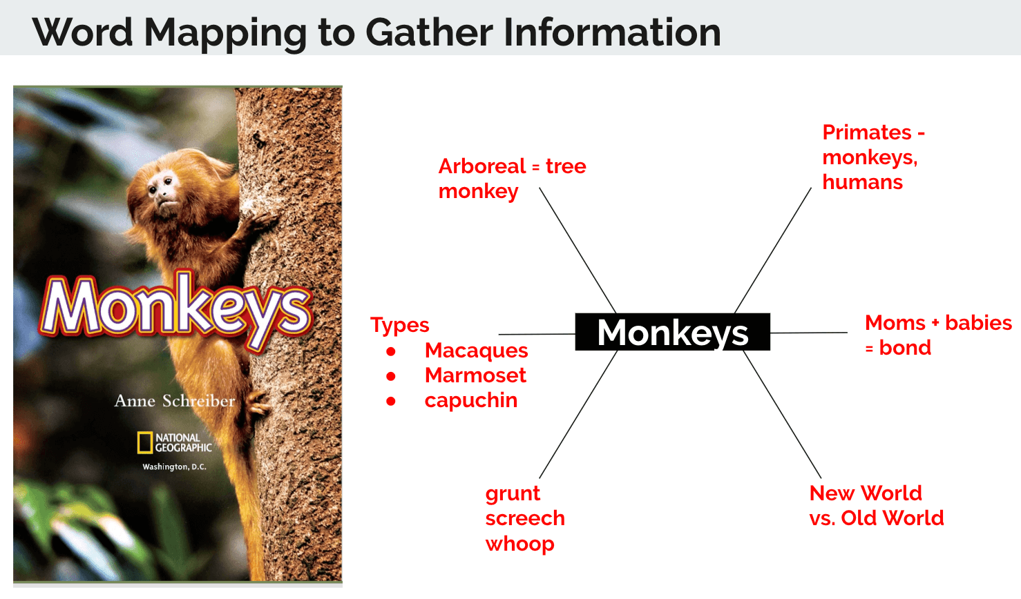 ConceptMapping