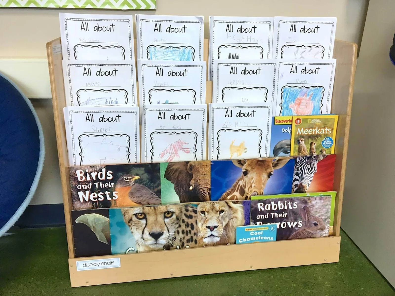 DisplayStudentBooks