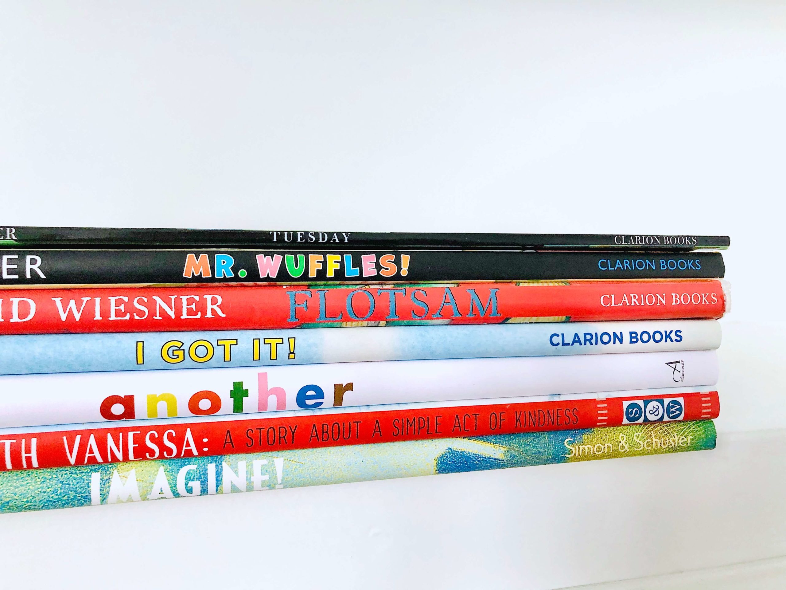 Wordless Picture Books