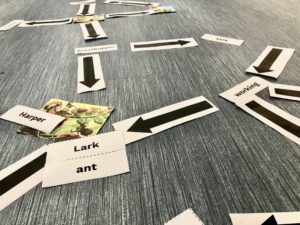 vocabulary words and arrows on the ground