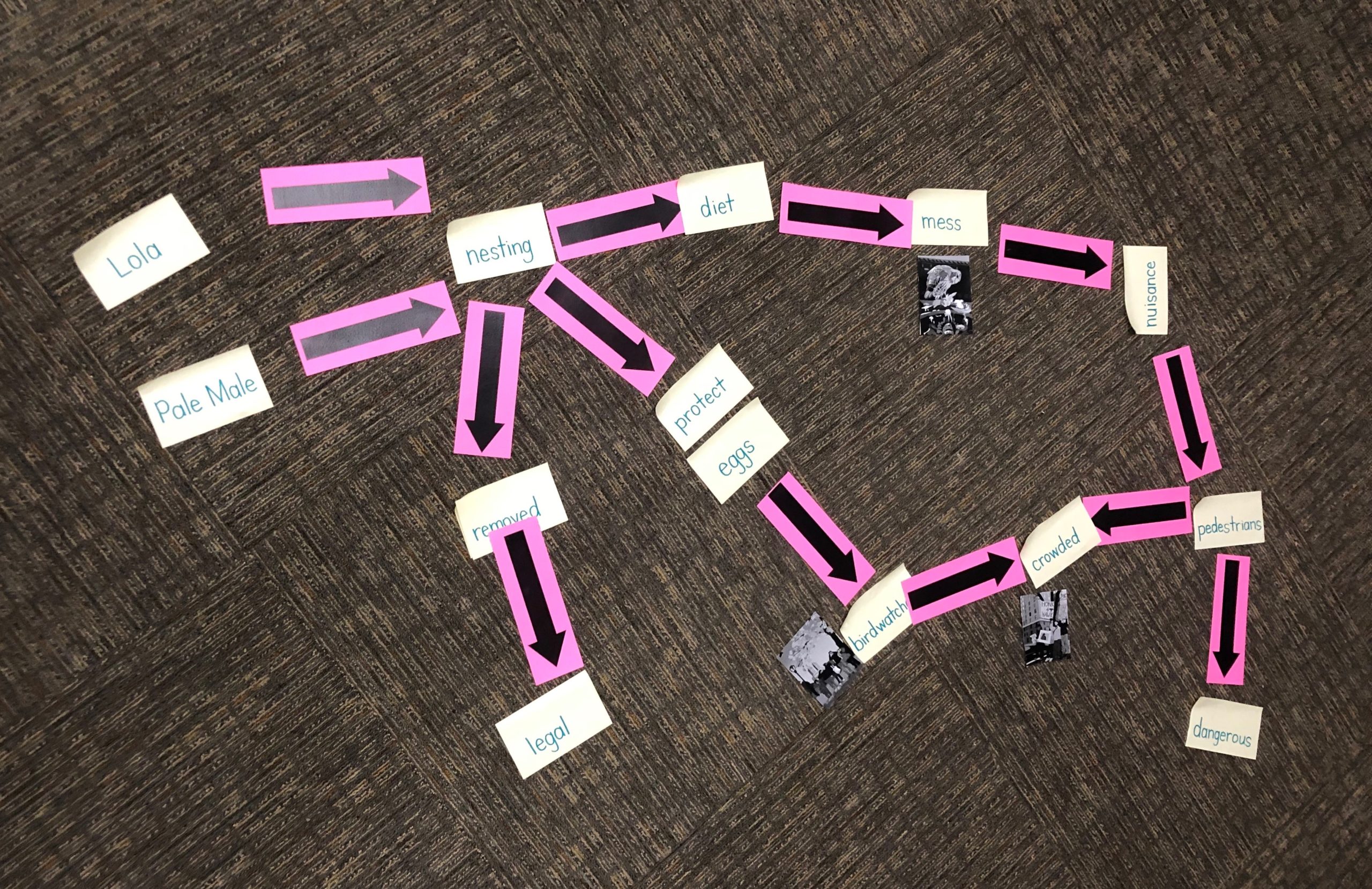 vocabulary words on sticky notes with purple arrows on ground