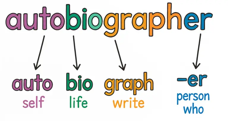 MorphologyBreakdown