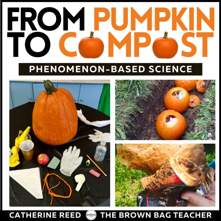 Halloween Pumpkin Science – Why Do Some Things Decompose? Fall Science