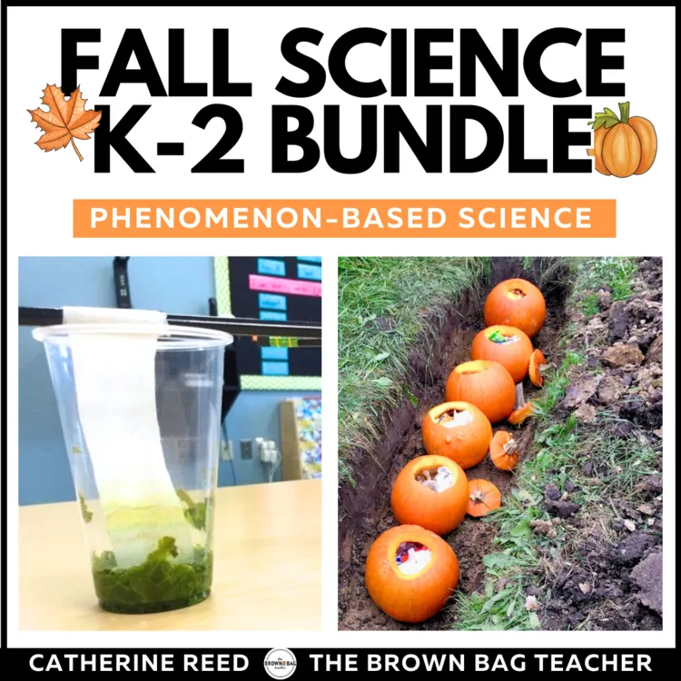 Fall Science Why Leaves Change Colors, What Happens to Trash? Pumpkin Experiment