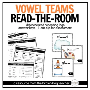 Vowel Teams (Long Vowels) Phonics Word Work: Science of Reading Write-the-Room