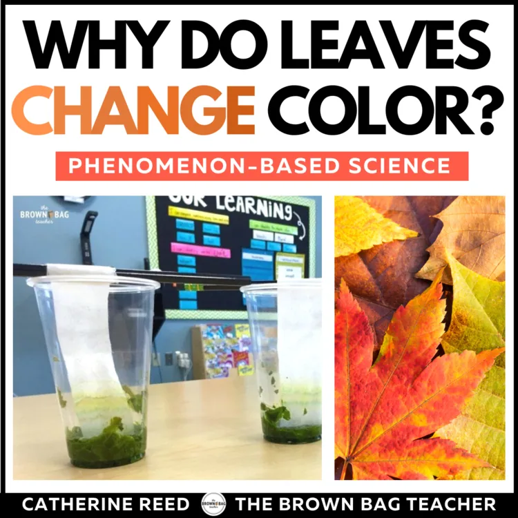 Fall Science: Why Do Leaves Change Color? NGSS Changing Seasons Experiment